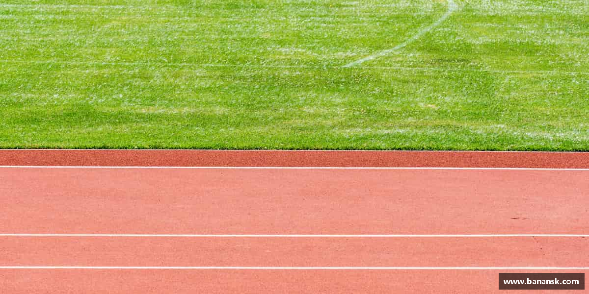 谈球吧中国不断进步，逐步实现目标。